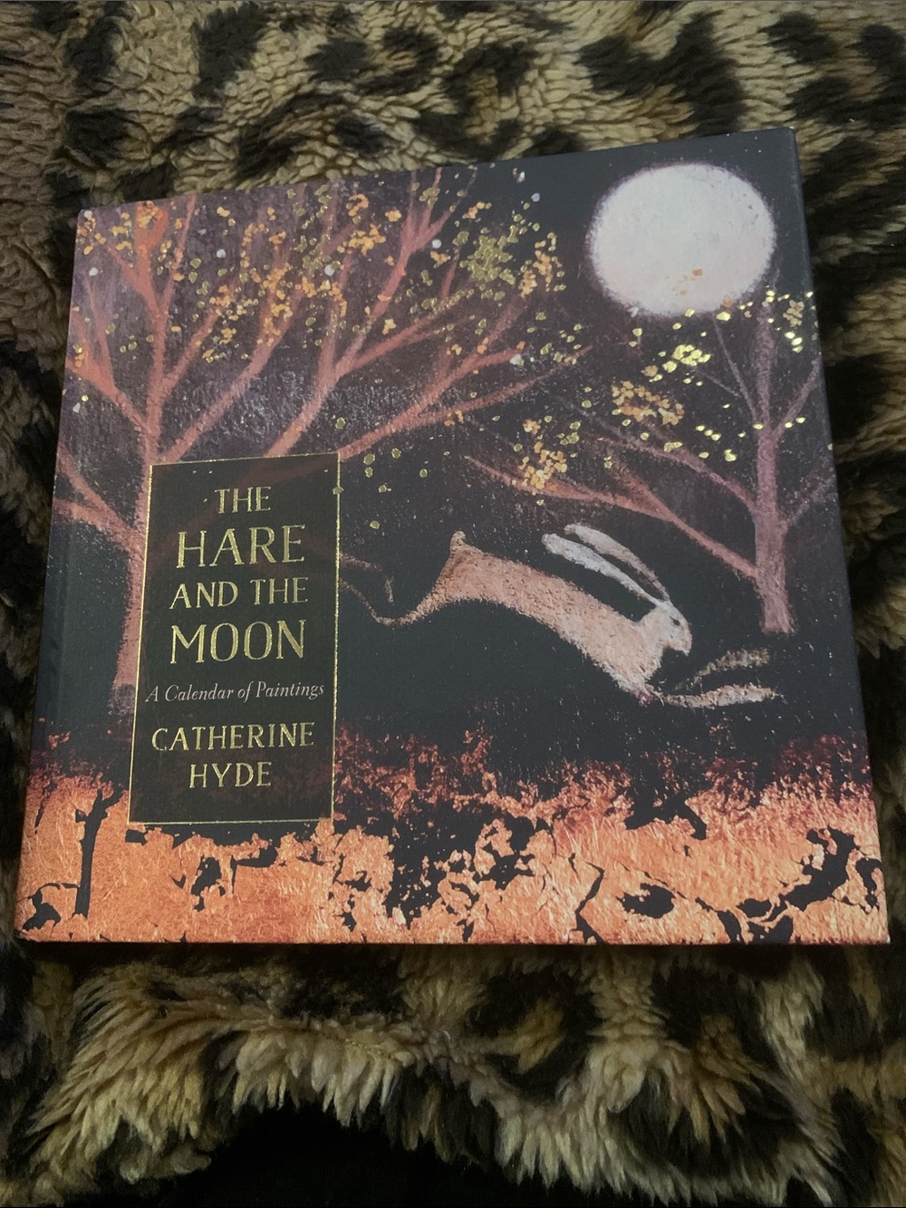 New The Hare and the Moon A Calendar of Paintings Book